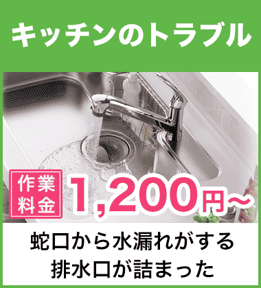 キッチン（台所）の蛇口の水漏れ修理 大和高田市
